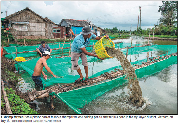 Vietnam's shrimp farmers fish for fortunes
