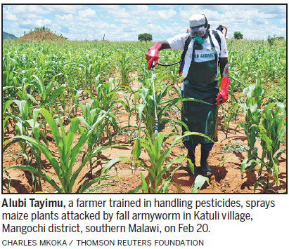 Drought-hit Malawi farmers use sugar, fish soup to battle pests