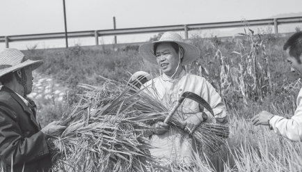 Plant pathologist honored as 'role model'