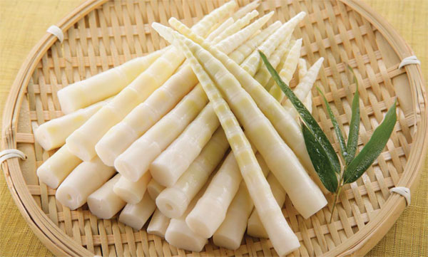 Spring rain and bamboo shoots