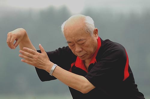 In the Lotus Pond Park (Lian Hua Chi)