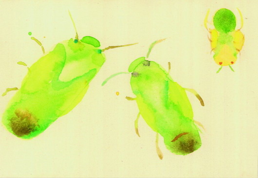 Illustration 15