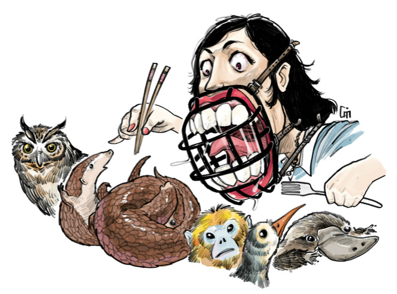 Animal protection - Opinion - Chinadaily.com.cn