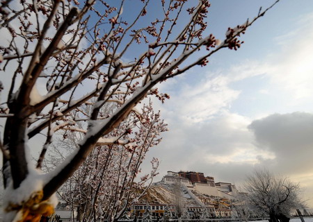 Potala Palace after snow