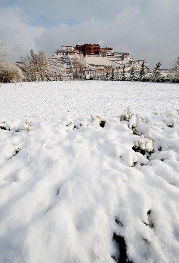 Potala Palace after snow