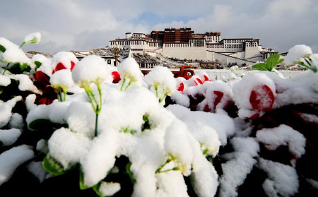 Potala Palace after snow