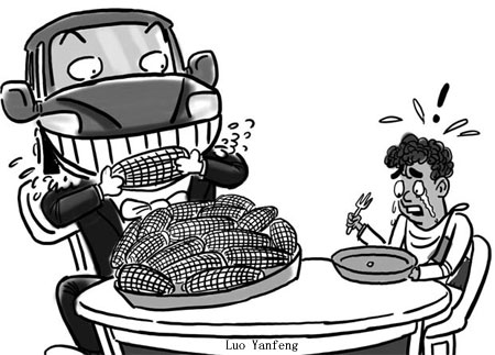 North's biofuel appetite causing South's starvat