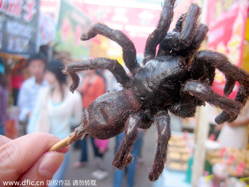 Weird Chinese Foods Dare To Try 7 Chinadaily cn