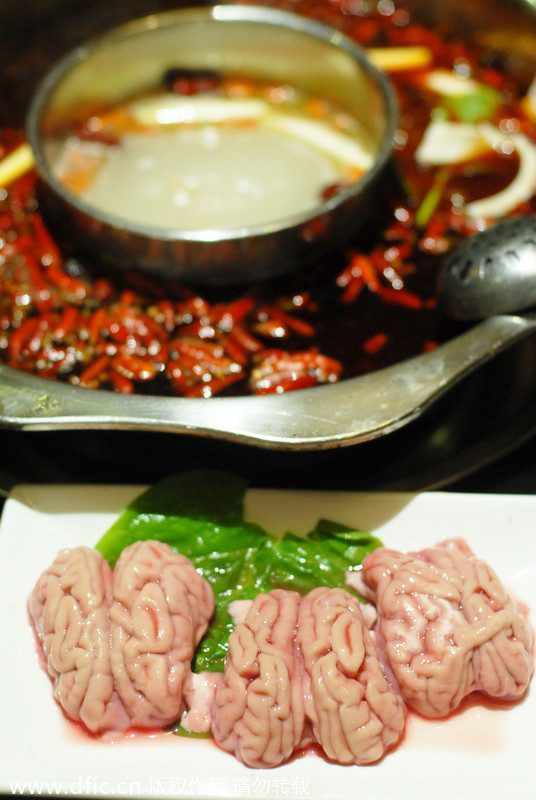 Weird Chinese foods, dare to try?