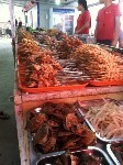 A survey about the crazy and delicious street food in China