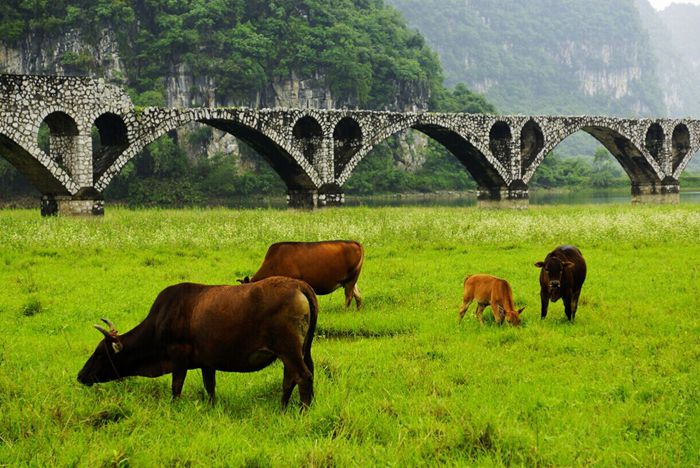 Shanglin: My Shangrila, my hometown