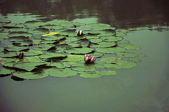 Taizhou, a peaceful and prosperous city