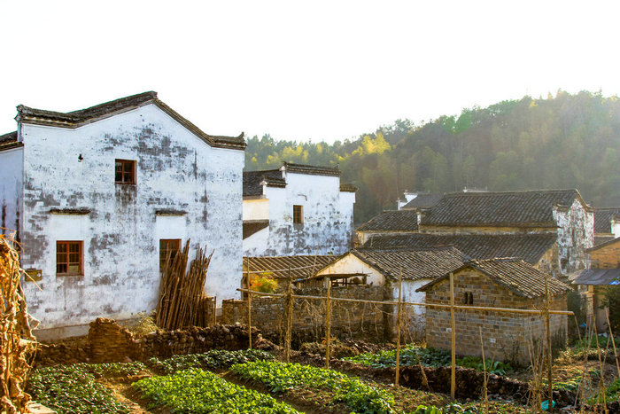 The pleasant pastoral life in Wuyuan