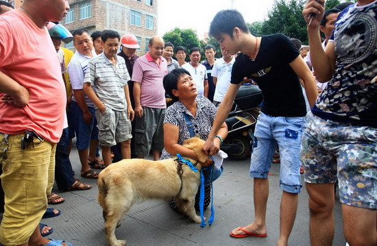 Should eating dogs be banned in China?