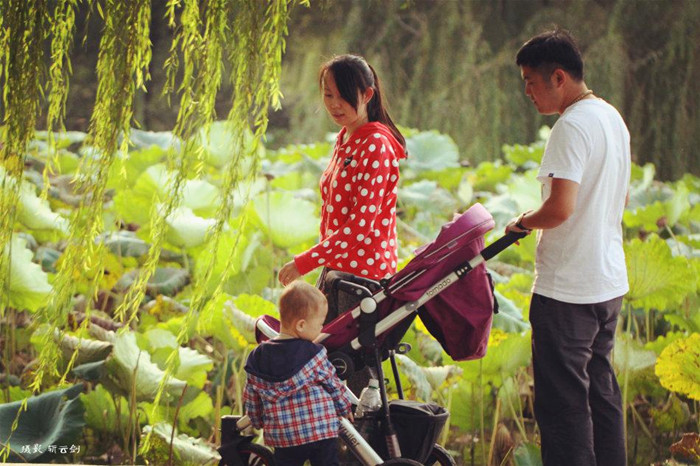 Jinan, a waterside city