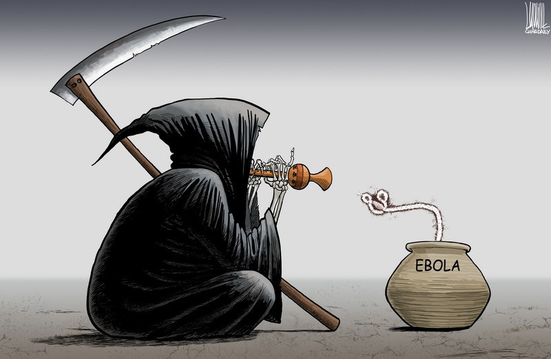 Cartoons recreate 10 major world events in 2014