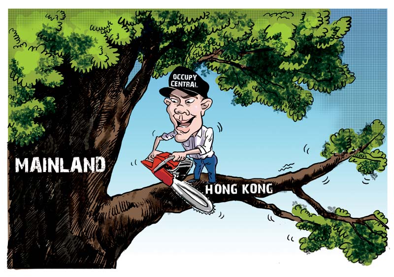 Cartoons capture 10 major China stories of 2014