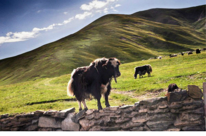 Xining, the gateway of the Tibetan Plateau[14]-