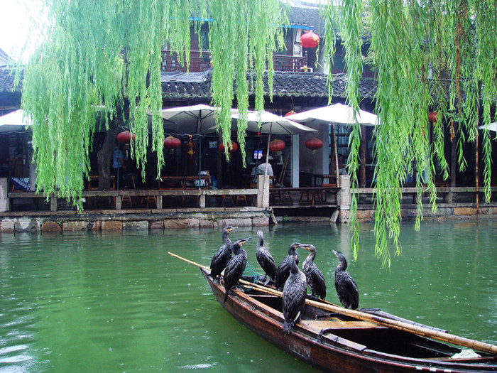 Zhouzhuang, the Venice of the Orient