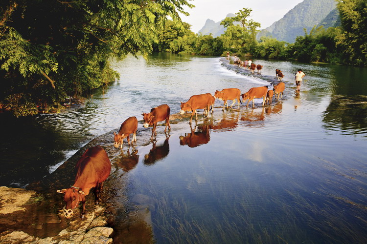 Yangshuo, um condado de karst landforms