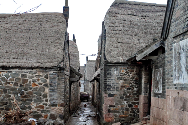 The charm of Rongcheng's ancient seaweed houses
