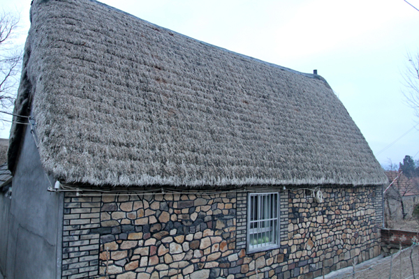 The charm of Rongcheng's ancient seaweed houses
