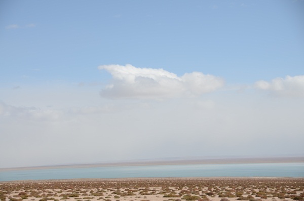 Dedicated rangers preserve Altun mountain for wildlife