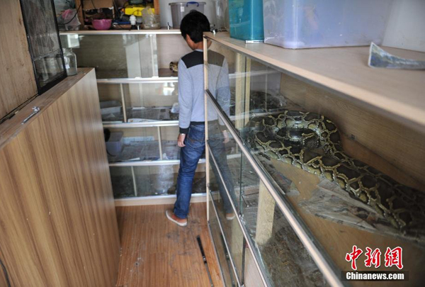 Snake farms should be regulated for safety
