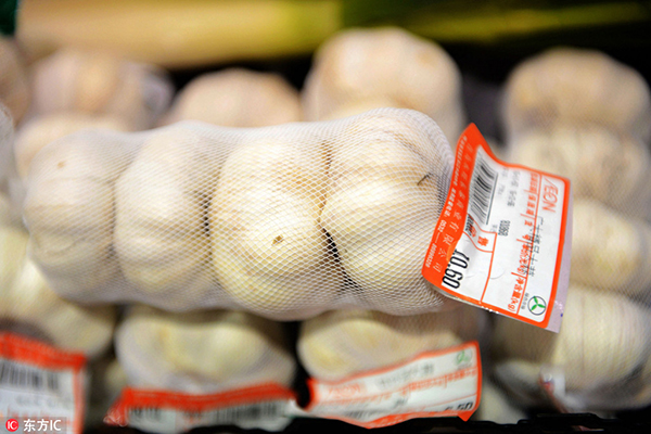 A watchful eye on garlic good for market