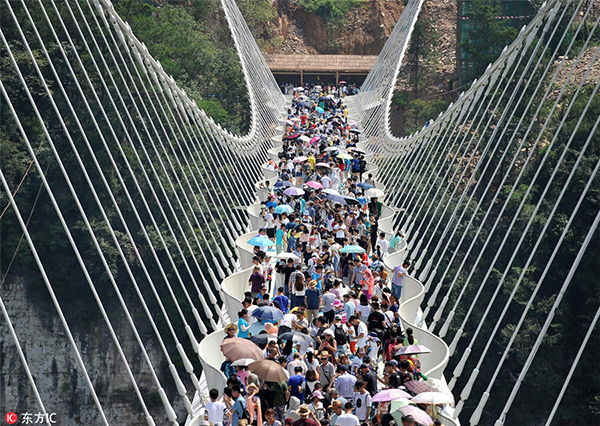 Are glass bridges a good idea?