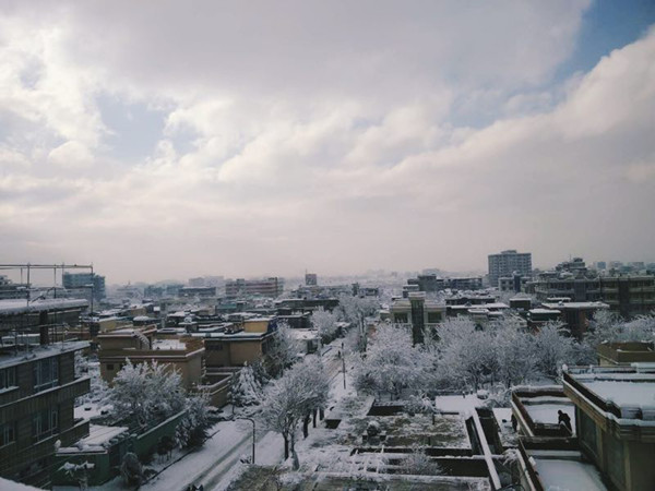 The discovery of beauty in Kabul while teaching Chinese in the war-torn country, Afghanistan