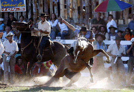 A gaucho (Uruguayan cowboy) rides an unbroken horse as others look on during the celebration of the "Fiesta de la Patria Gaucha" (Gaucho Fatherland Festival) in Tacuarembo, 400 km (248 miles) to the north of Montevideo, Uruguay March 10, 2006. From March 10-14, Tacuarembo fills with thousands of gauchos from all over Uruguay who participate in the event as a way of preserving the country's rural traditions. The main event of the party is a horse parade several blocks long, with the participation of more than 3,000 riders this year. Picture taken March 10, 2006. [Reuters]