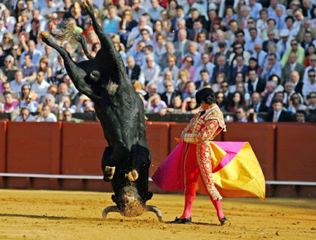 Spanish matador Miguel Abellan performs a pass as a bull does a somersault after getting its horns stuck in the sand during a bullfight a the Maestranza bull-ring in Seville April 29, 2006.