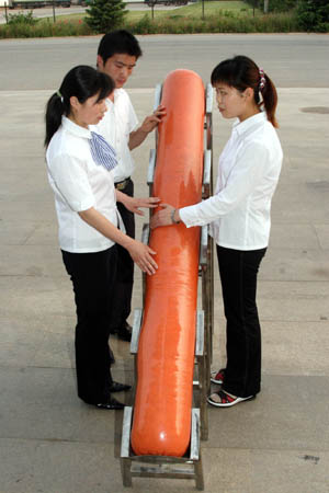 A Chinese worker compares a small bag of sausage to a bigger one produced by a company in Zhucheng, East China's Shandong Province, June 7, 2006. The bigger sausage is two meters long and weighs 90 kilograms. The company will apply for the Guinness World Records for the sausage. [newsphoto]