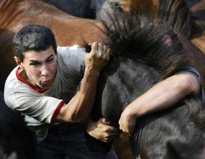 A reveller tries to hold a wild horse during the "Rapa Das Bestas" traditional event in the Spanish northwestern village of Sabucedo July 1, 2006. On the first weekend of the month of July, hundreds of wild horses are rounded up, trimmed and groomed in different villages in Spain's northwestern region of Galicia. [Reuters]