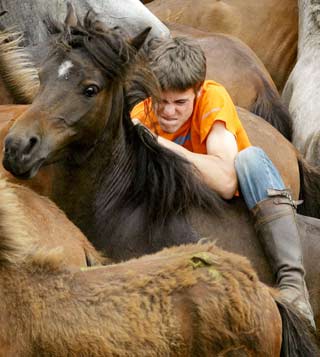 Two horses fight during the "Rapa Das Bestas" traditional event in the Spanish northwestern village of Sabucedo July 2, 2006. On the first weekend of the month of July, hundreds of wild horses are rounded up, trimmed and groomed in different villages in Spain's northwestern region of Galicia.