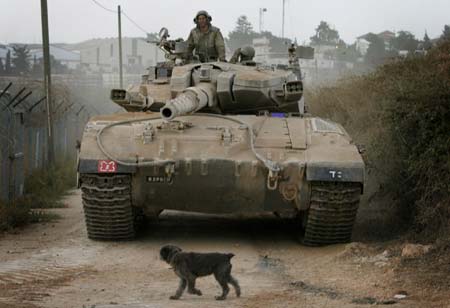 An Israeli tank stops to allow a dog to pass on the Israel-Lebanon border near the northern town of Metula, August 12, 2006. 