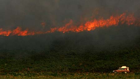 A car passes near a forest fire in Pardesoa, in the northwestern Spanish region of Galicia, August 11, 2006. 