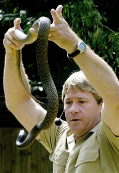 ,,Steve Irwin,,Crocodile Hunter,, 