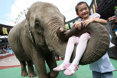 ,,animal olympics,,shanghai wild animal park,,,