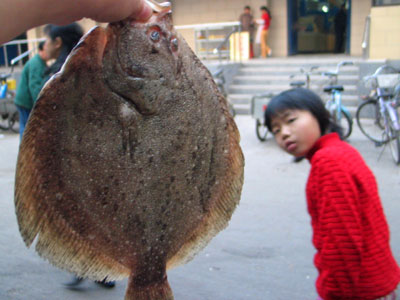 Fish Cancer