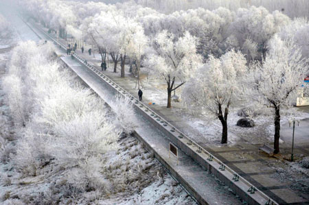 A general view of trees covered with frost in Harbin, Northeast China's Heilongjiang Province January 2, 2006. [Xinhua]