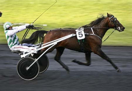 French driver Bernard Piton races to the finish line behind his trotter Niky to win the Prix de Belgique (Belgium Grand Prix) at the Vincennes horse track outside Paris January 14, 2007. Niky will race in the upcoming Prix d'Amerique in two weeks.