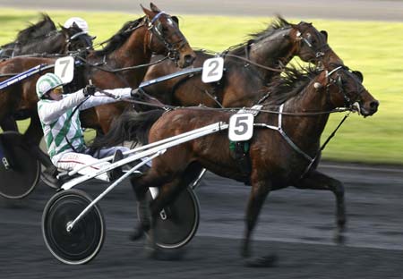 French driver Bernard Piton races to the finish line behind his trotter Niky to win the Prix de Belgique (Belgium Grand Prix) at the Vincennes horse track outside Paris January 14, 2007. Niky will race in the upcoming Prix d'Amerique in two weeks.