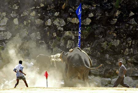 Mahouts try to subdue an elephant and rescue an unidentified teenage girl rider after she was thrown and the animal went on a rampage during Sri Lanka's sixth annual elephant polo tournament in Galle February 14, 2007. Abey, a four-tonne eighteen-year-old elephant, threw off his mahout and American rider and went on a rampage destroying a vehicle before being subdued. 