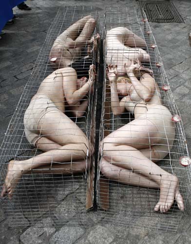 International Day Without Meat
