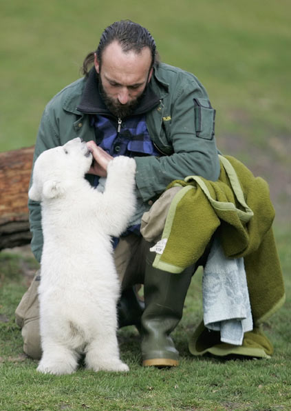 Berlin zoo employee Thomas Doerflein plays with polar bear cub Knut during the bear's first presentation in Berlin zoo, March 23, 2007. Knut, born on December 5, 2006, had to be hand fed every four hours by Doerflein after its mother Tosca refused the baby.