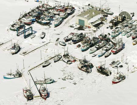 Fishing boats are blocked by ice in the area of Port au Choix, on the northwest shore of Newfoundland, April 1, 2007. A Canadian Department of Fisheries official reported that the ice blocking some harbors in this area may delay their sealers from participating in the northern Gulf of St. Lawrence seal hunt which is scheduled to commence on April 4. The Southern Gulf hunt is set to begin on Monday with a smaller amount of sealing activity.