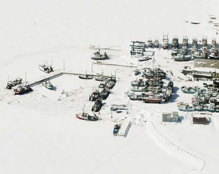 Fishing boats are blocked by ice in the area of Port au Choix, on the northwest shore of Newfoundland, April 1, 2007. A Canadian Department of Fisheries official reported that the ice blocking some harbors in this area may delay their sealers from participating in the northern Gulf of St. Lawrence seal hunt which is scheduled to commence on April 4. The Southern Gulf hunt is set to begin on Monday with a smaller amount of sealing activity.