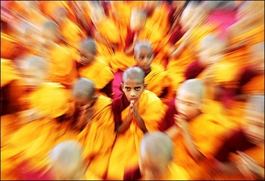 Festival prayer : Young Indian Buddhist monks pray as they celebrate the Buddha Jayanti Festival at the Maha Bodhi Society in Bangalore.(